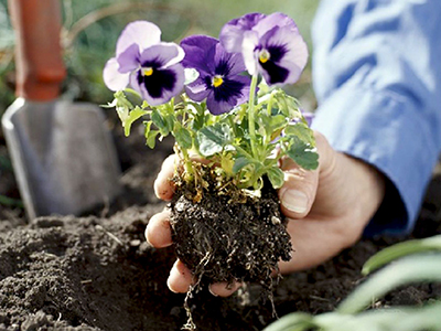 Flower bed maintenance and terracing services by Ozark Outdoor Services in NWA